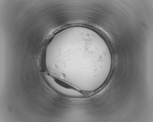 X0000115830921200912111309