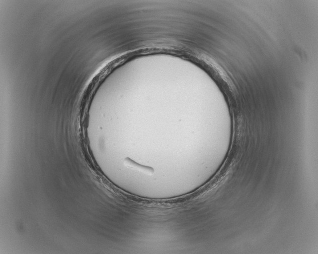 X0000115830923200912111309