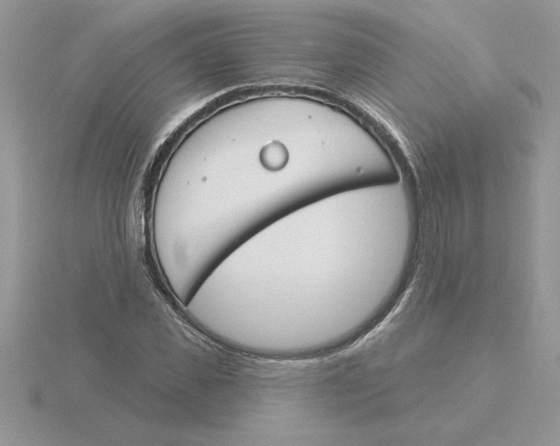 X0000115830925200912111309