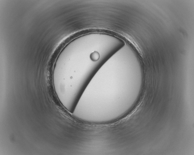 X0000115830926200912111309