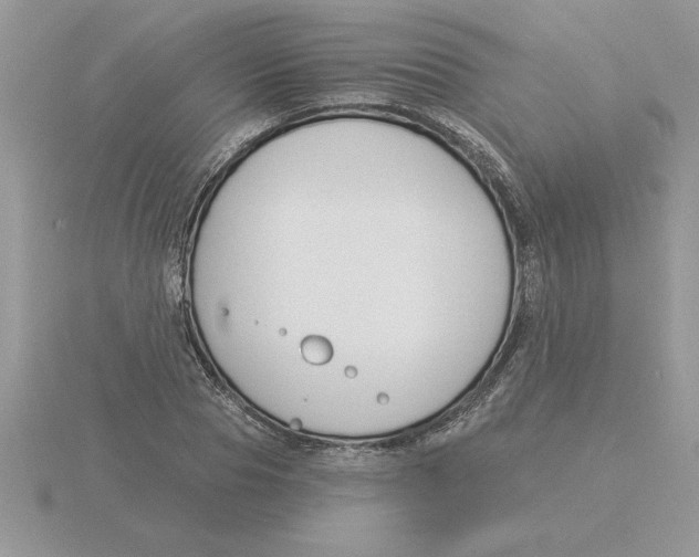 X0000115830929200912111309