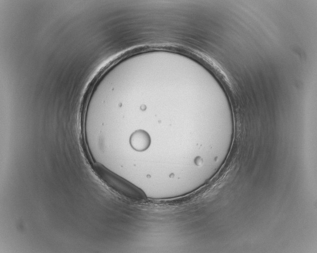 X0000115830935200912111309