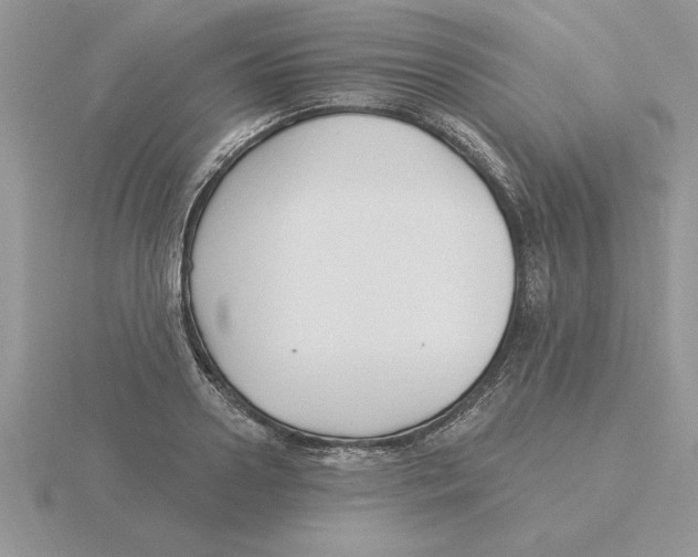 X0000115830938200912111309