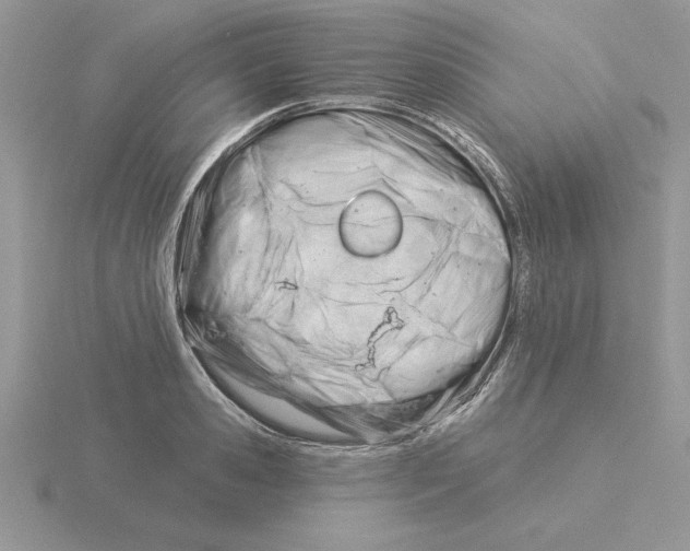 X0000115830941200912111309