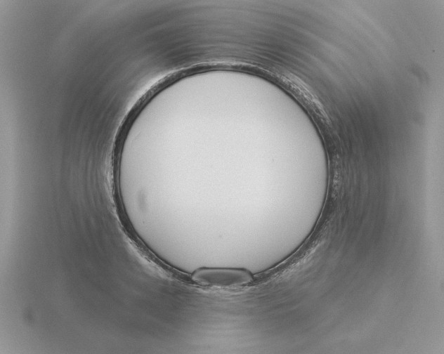 X0000115830942200912111309