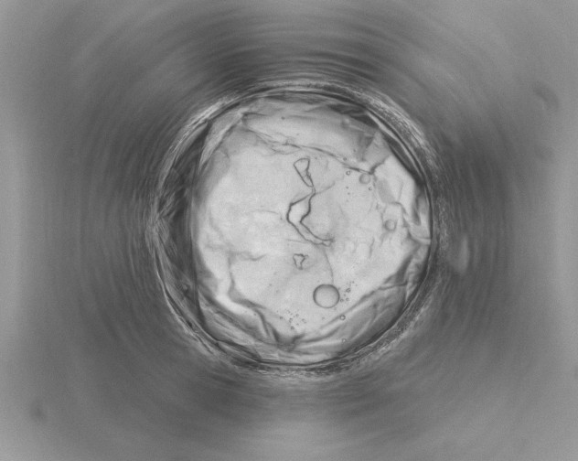 X0000115830945200912111309