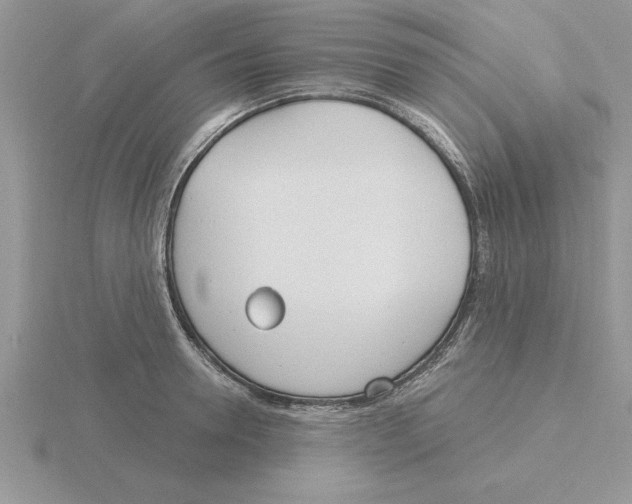 X0000115830946200912111309