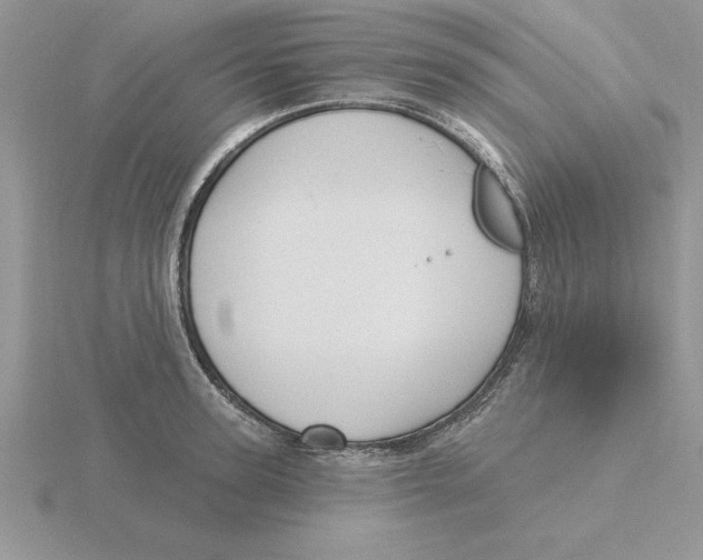 X0000115830947200912111309