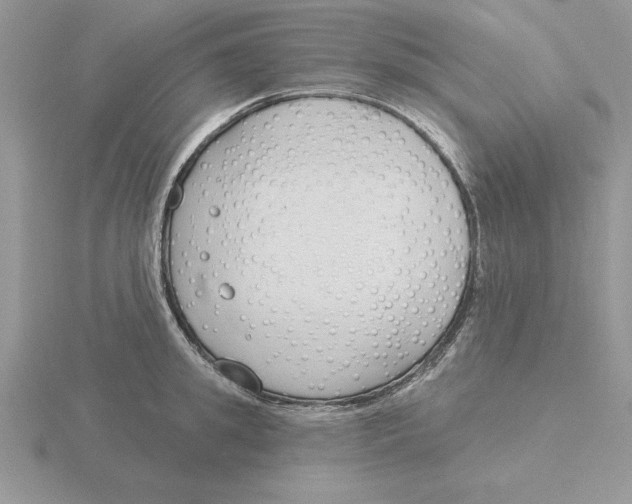 X0000115830949200912111309