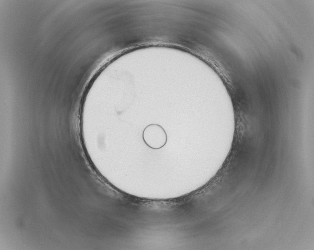 X0000115830950200912111309