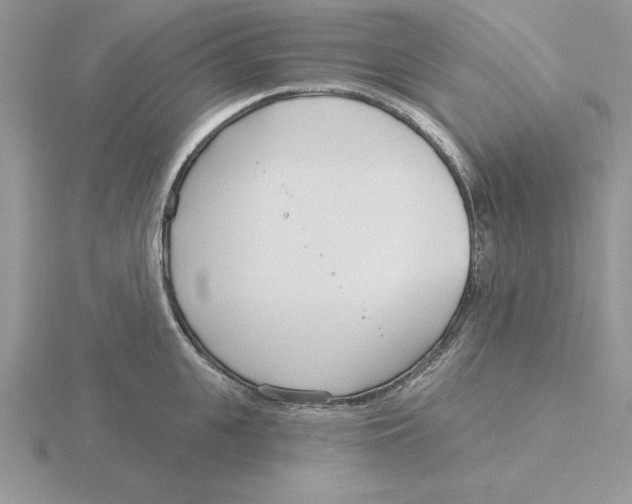 X0000115830951200912111310