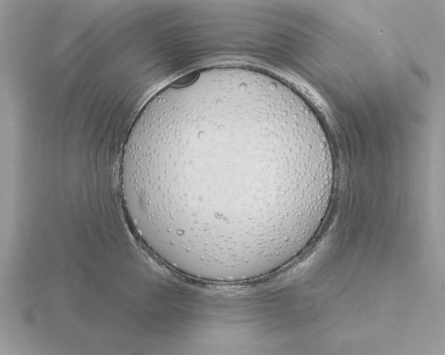 X0000115830953200912111310