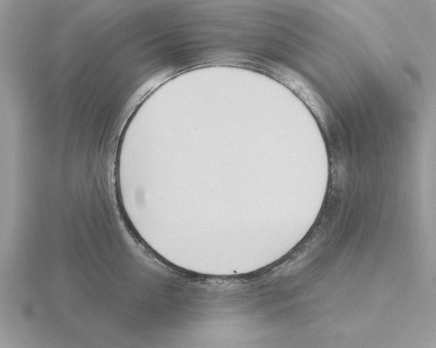 X0000115830954200912111310