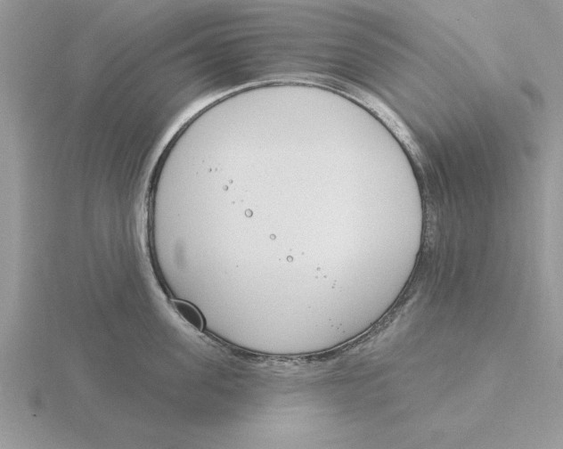 X0000115830955200912111310