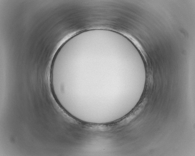 X0000115830957200912111310