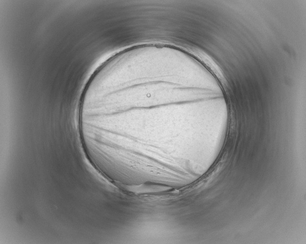 X0000115830958200912111310