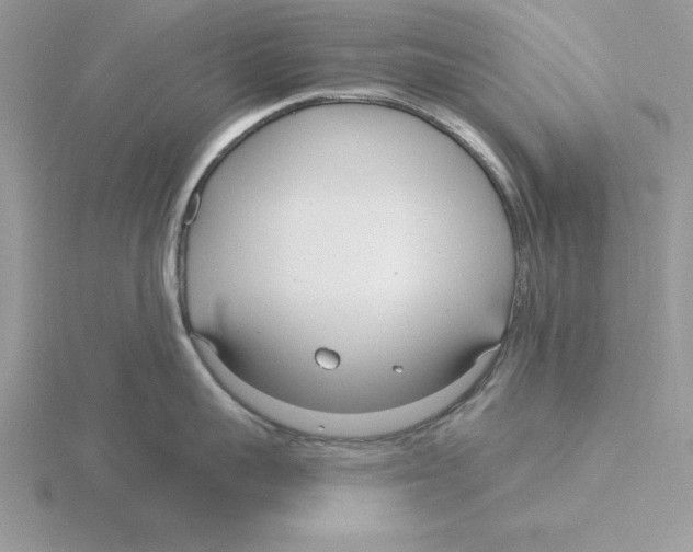 X0000115830959200912111310