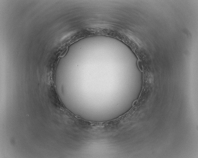 X0000115830965200912111309