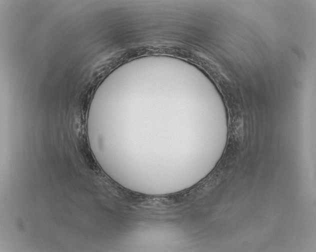 X0000115830966200912111309