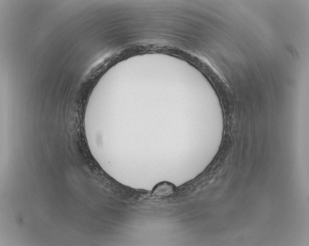 X0000115830967200912111309