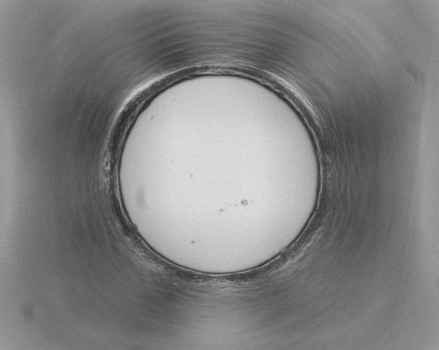 X0000115830971200912111309