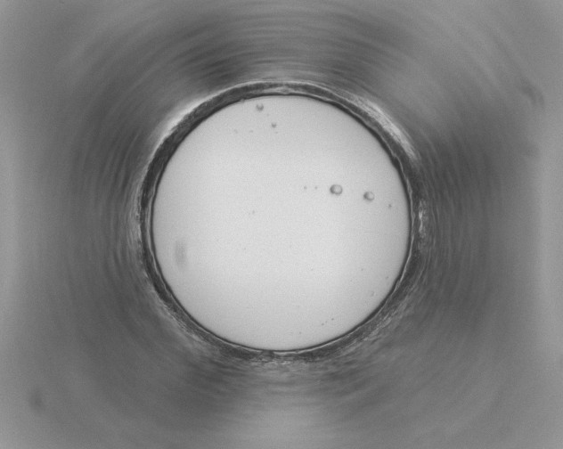 X0000115830972200912111309