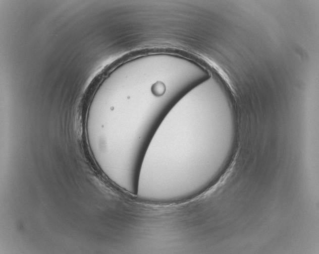 X0000115830973200912111309