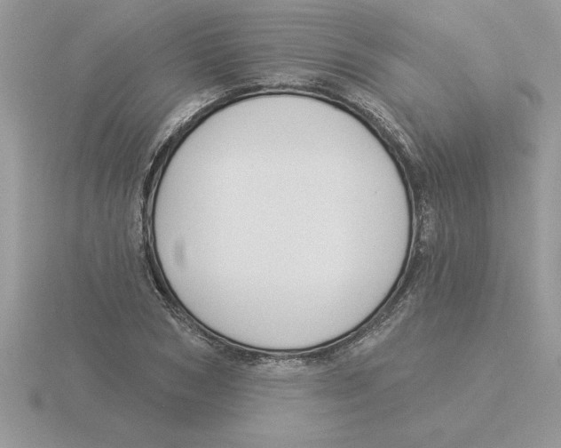 X0000115830978200912111309