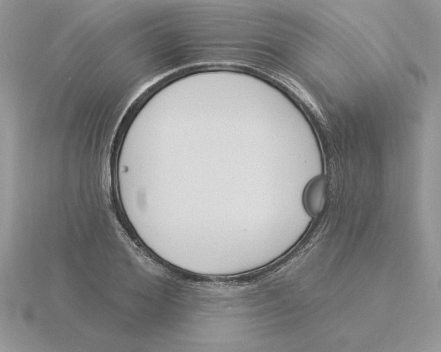 X0000115830980200912111309