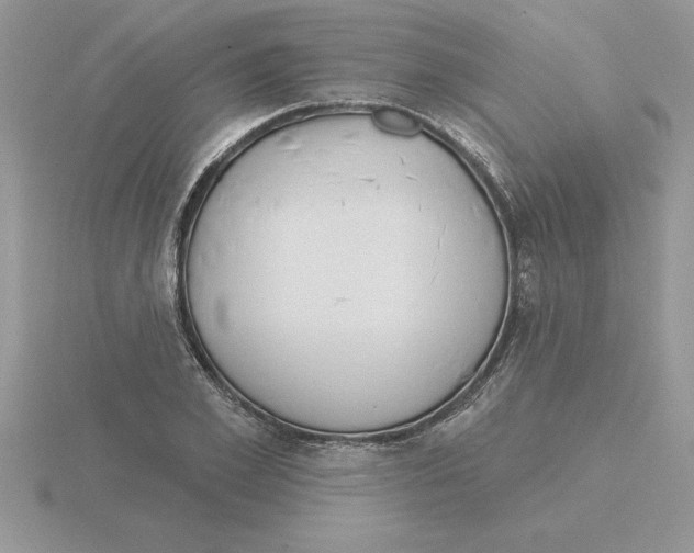 X0000115830981200912111309