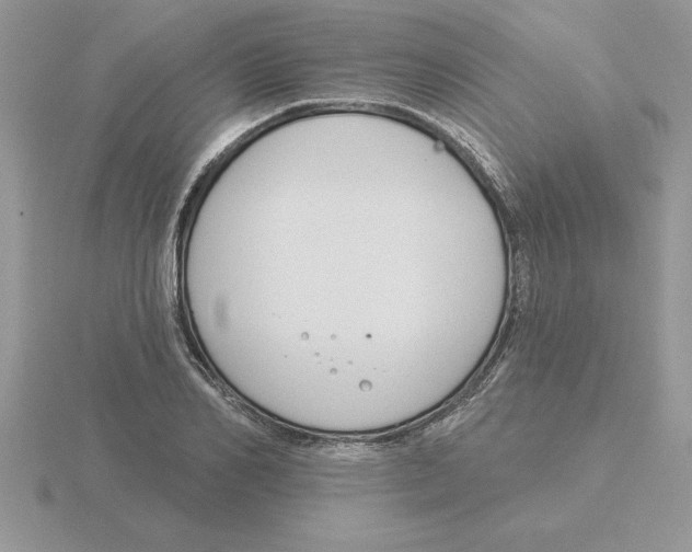 X0000115830982200912111309