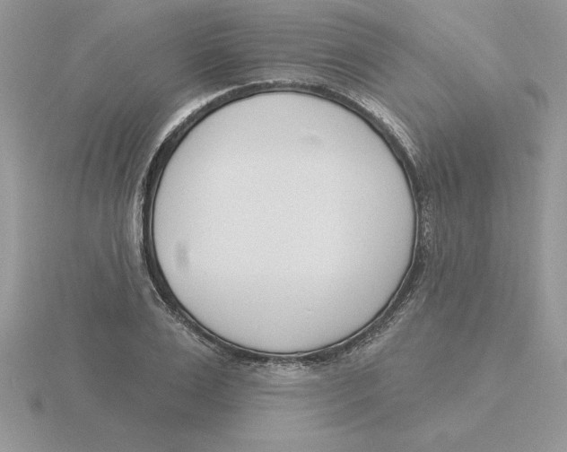 X0000115830983200912111309