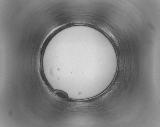 X0000115830984200912111309