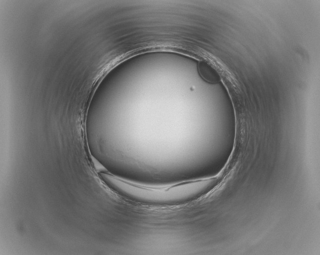 X0000115830985200912111309