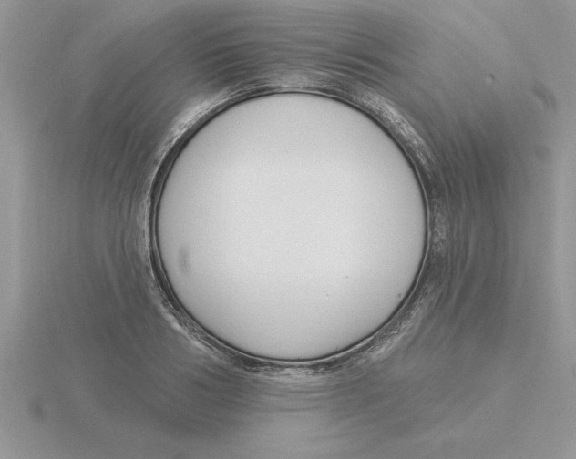 X0000115830986200912111309