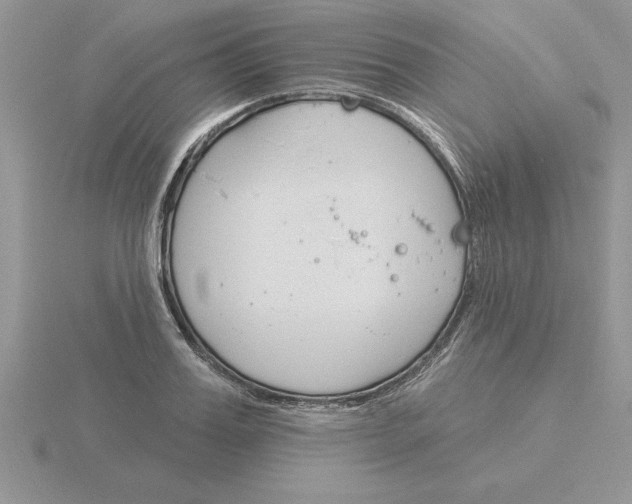 X0000115830987200912111309