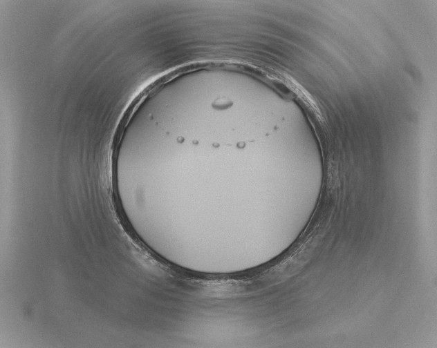 X0000115830988200912111309