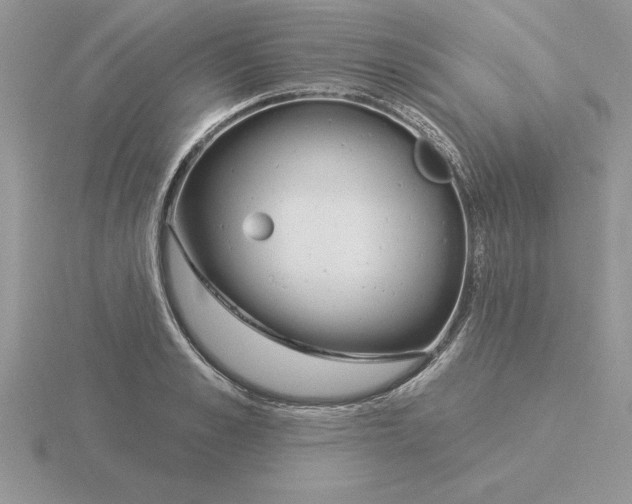 X0000115830989200912111309