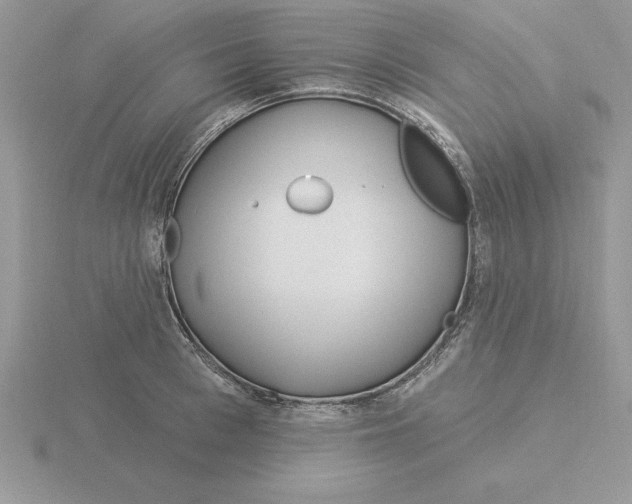 X0000115830993200912111309