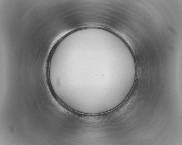 X0000115830995200912111309