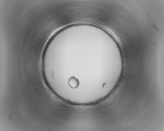 X0000115830996200912111309