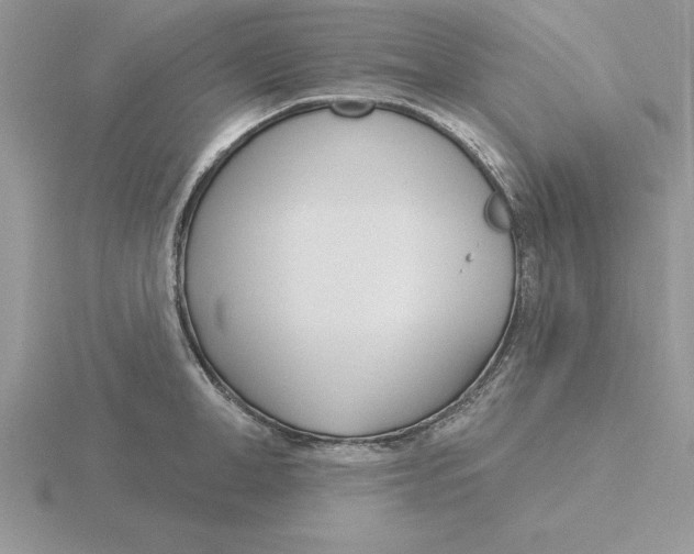 X0000115830998200912111309