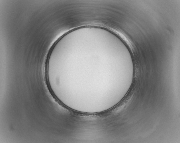 X0000115830999200912111309