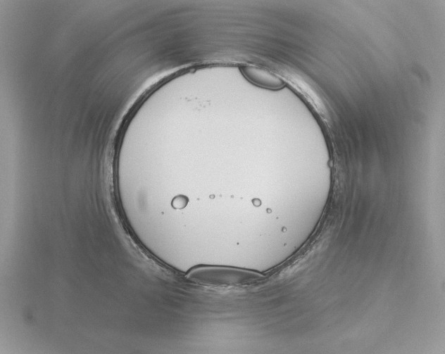 X0000115831000200912111309