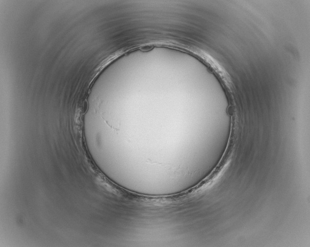 X0000115831001200912111308