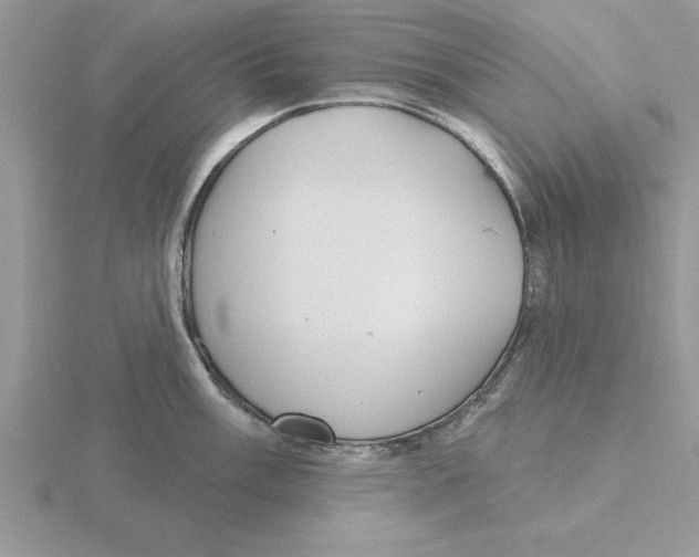 X0000115831003200912111308