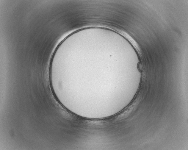 X0000115831004200912111308