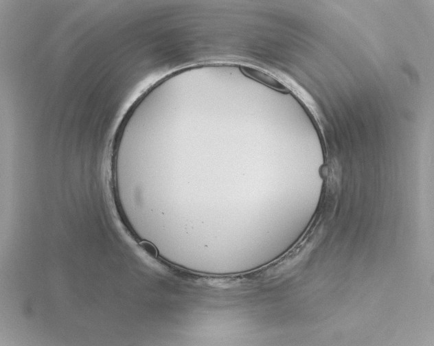 X0000115831005200912111308