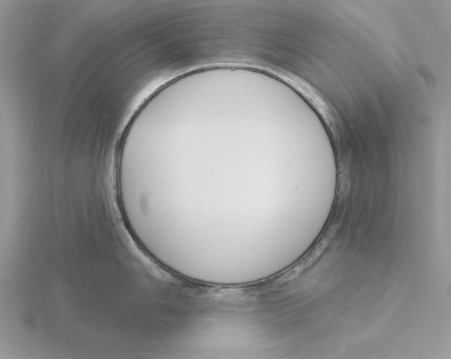 X0000115831006200912111308