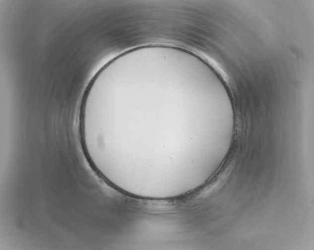 X0000115831007200912111308